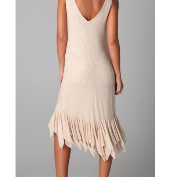 Gryphon Nude Flutter Fancy Hand Beaded Fairy Sleeveless Midi Dress NWT XS - Picture 16 of 16